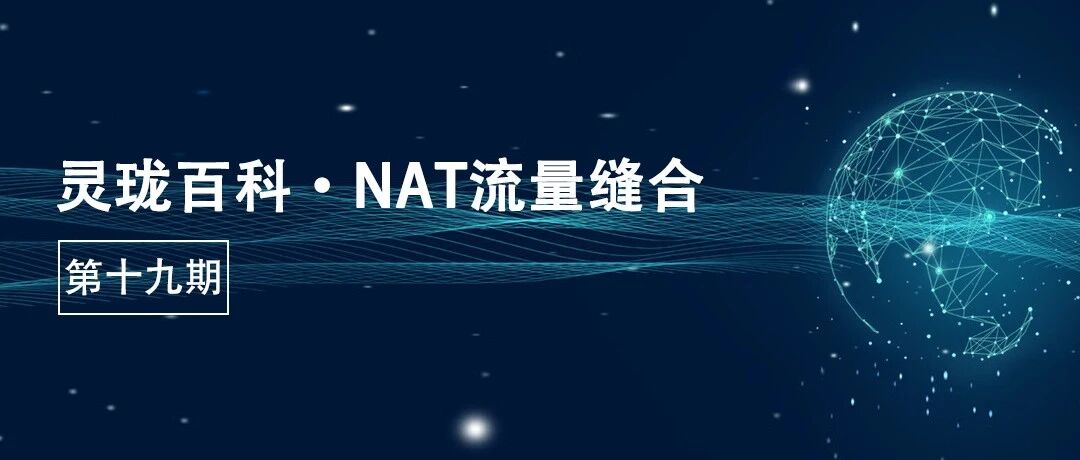 灵珑百科 ·NAT流量缝合首图